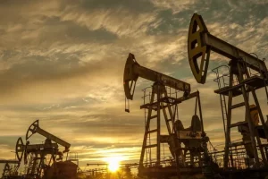 RBI sees price of India’s crude oil imports at $85 a barrel in 2024-25