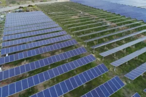India adds record 10 GW of solar capacity in Q1 2024, marking almost 400 pc YoY increase